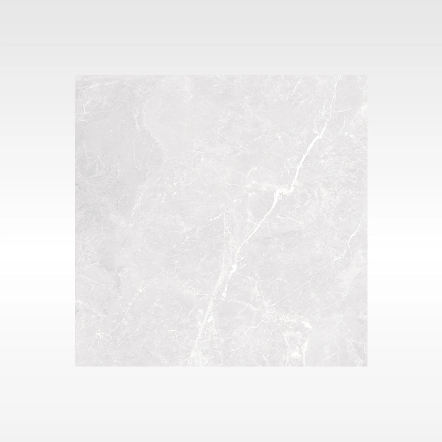 Apex Silver 600x600