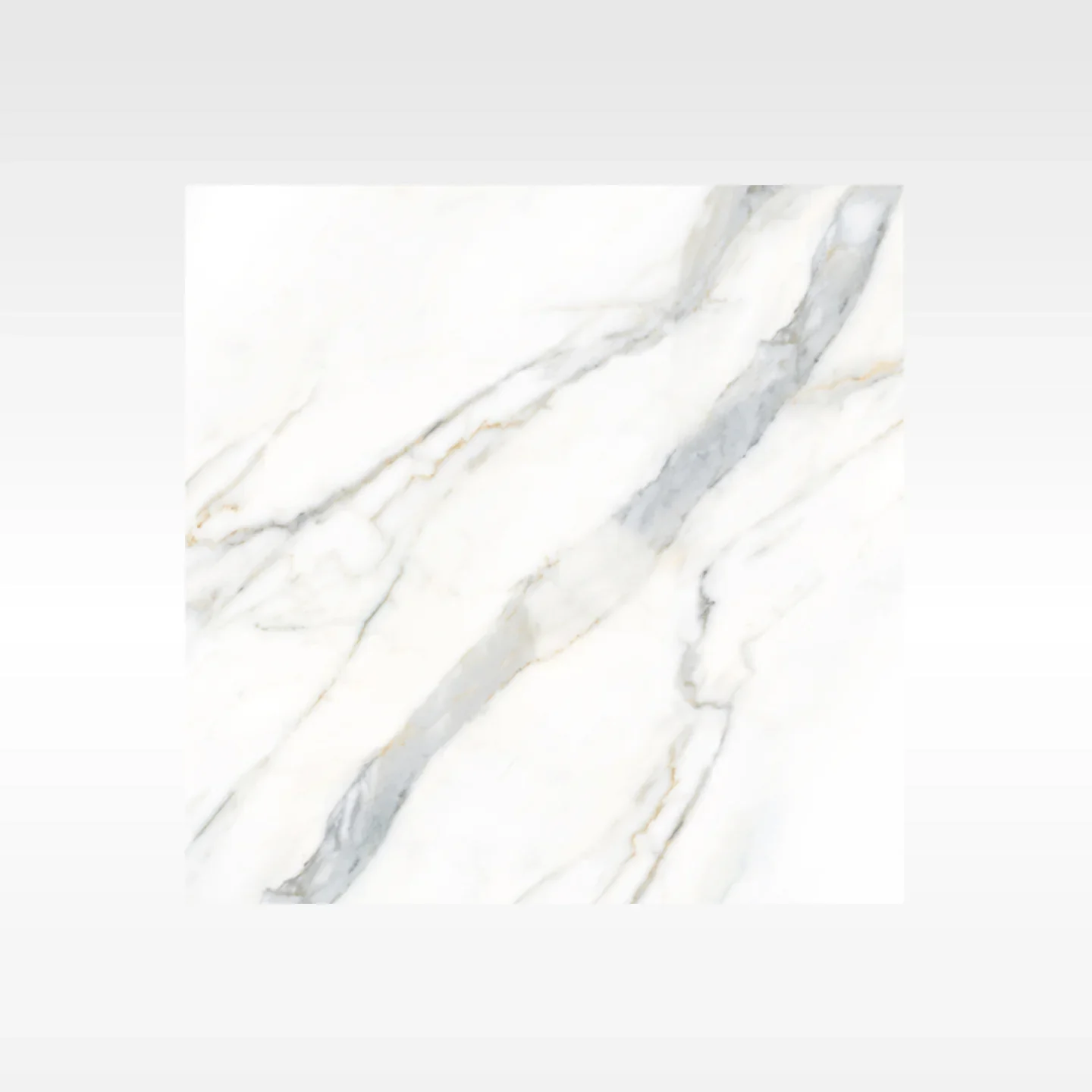 Calacatta Gold 600x600