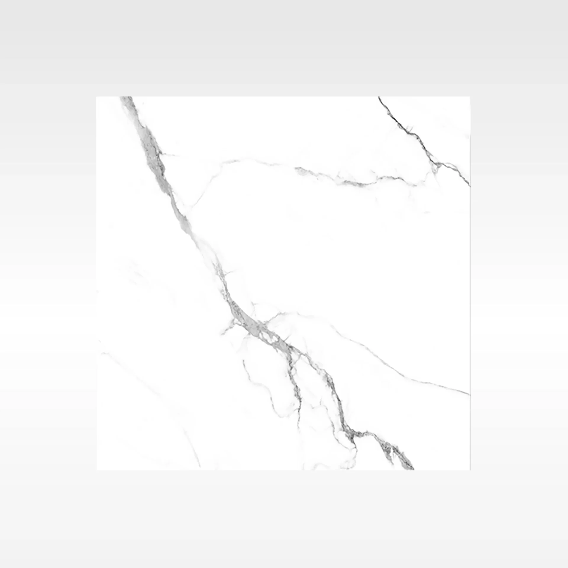 Calacatta White