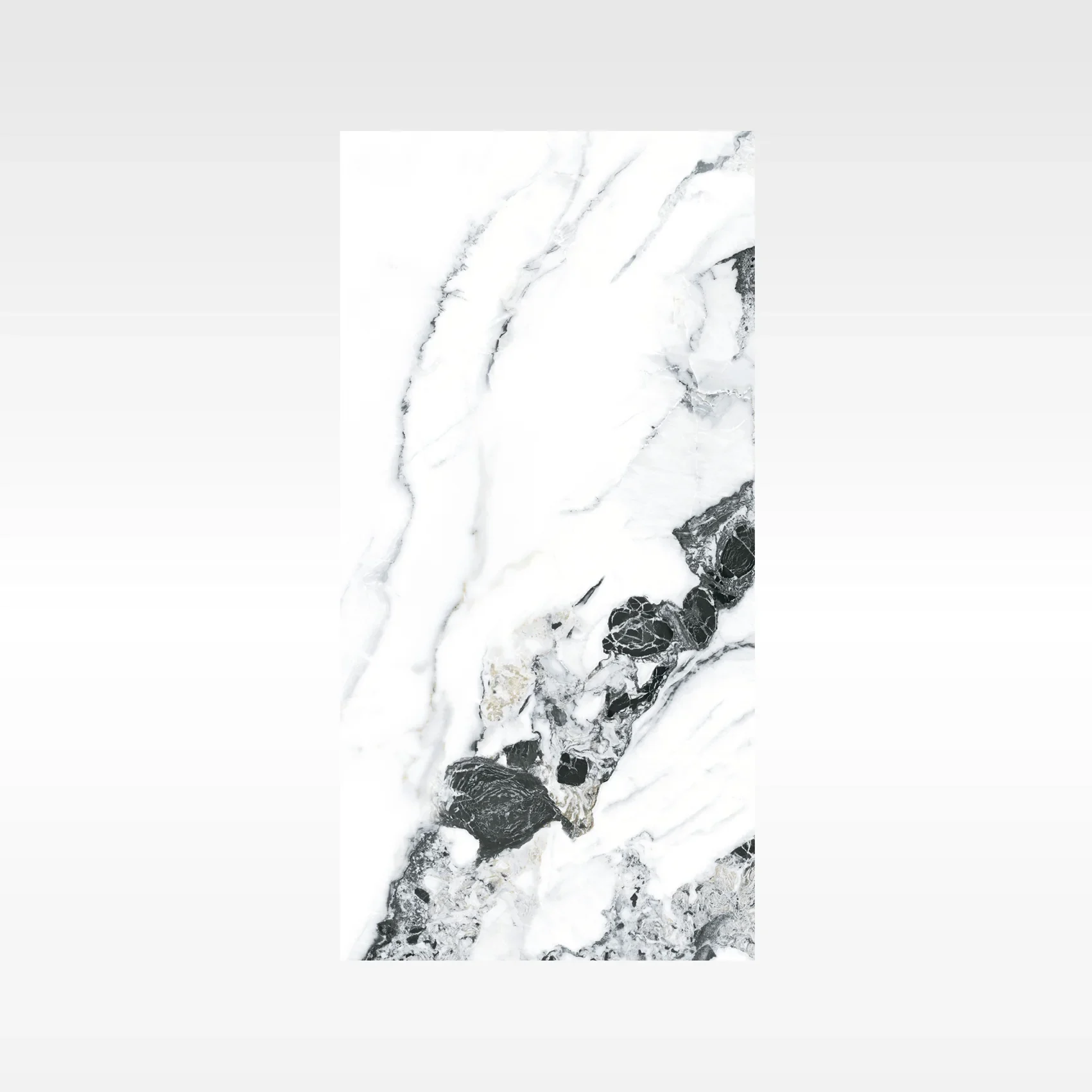 Pandora 600x1200